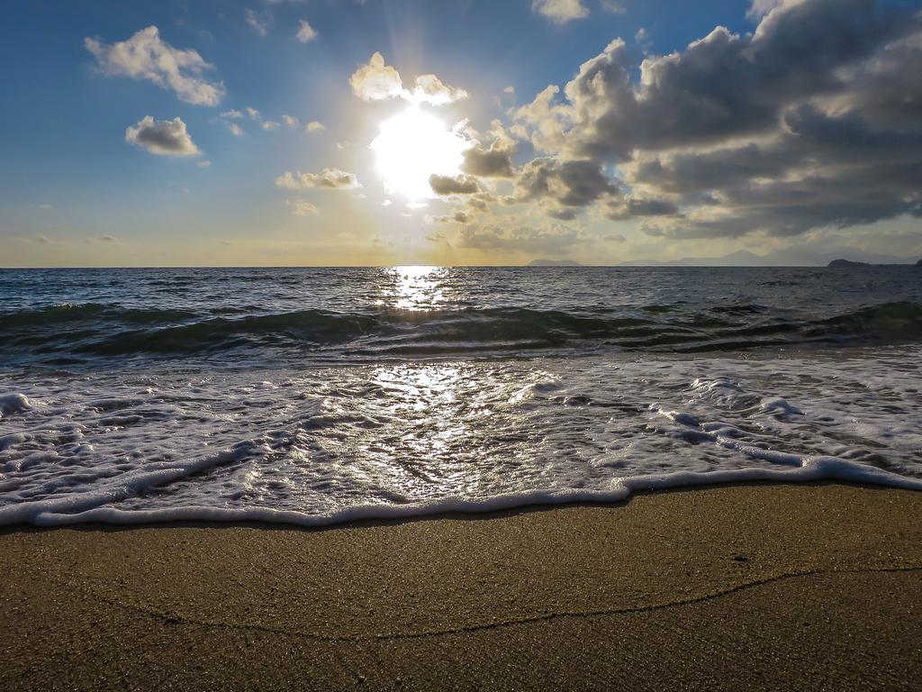 Cairns Beaches Flashpackers Палм-Коув Экстерьер фото